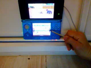 la balade , la toilette et la boite de jeux nintendogs + cats