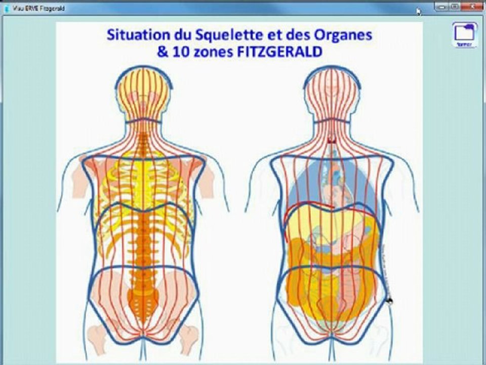 VisuERVE, le logiciel de Réflexologie plantaire de la fédération ERVE-FRANCE