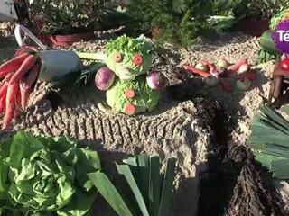 14 septembre 2012 - Fête de la carotte de créances : la confrérie