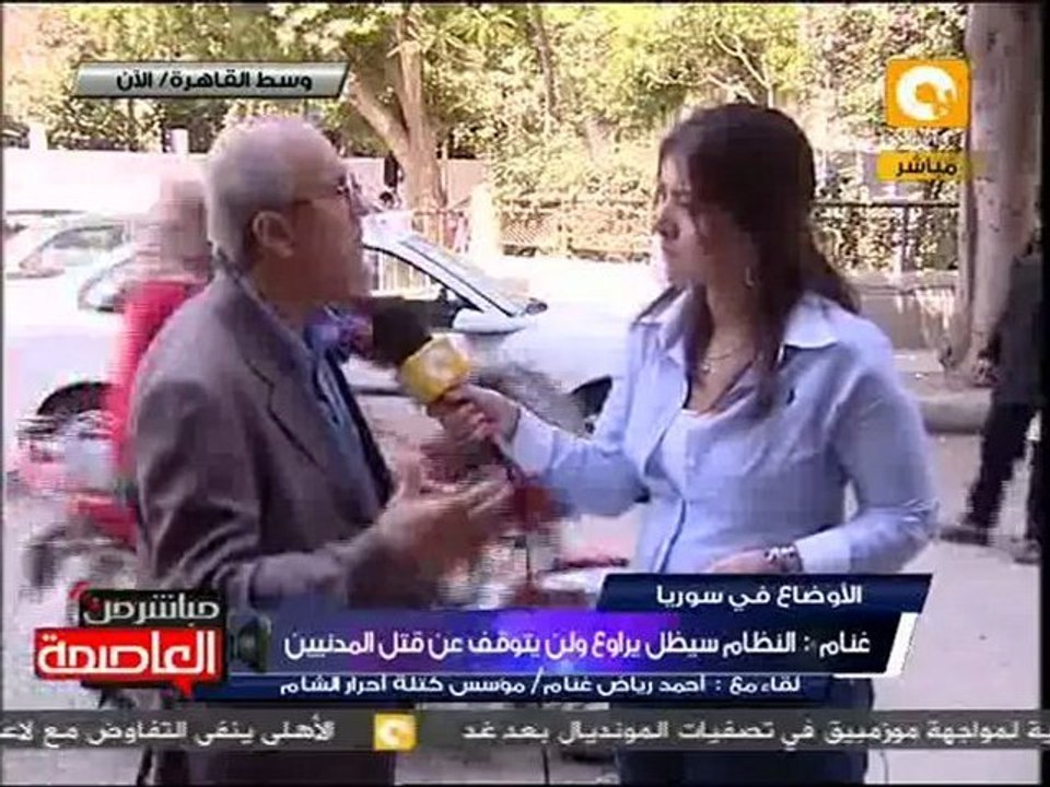 رياض غنام:يجب توجيه ضربات عسكرية للجيش النظامي السوري