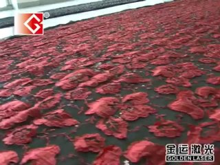 embroidery engraving & cutting integrated laser bridge