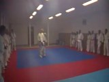 Jujitsu Rollin Philippe