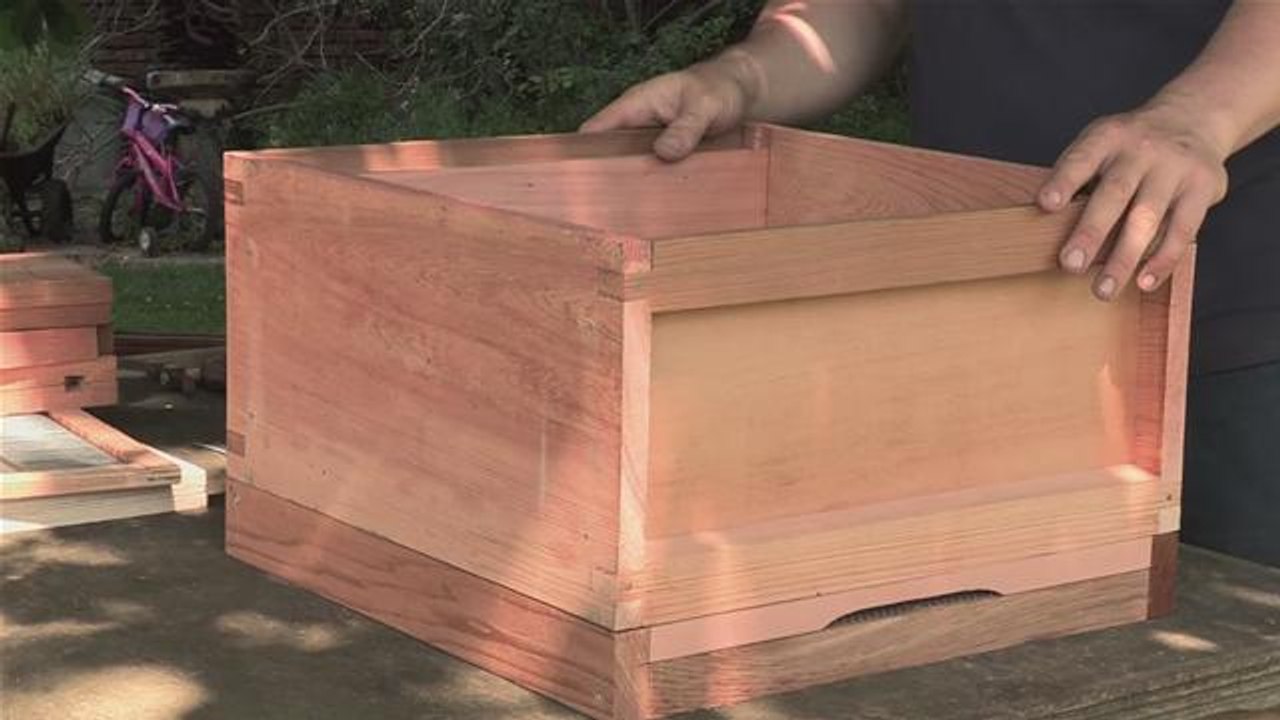 How To Put Together A Brood Box