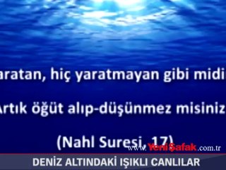 Deniz altında ışıklı canlılar!