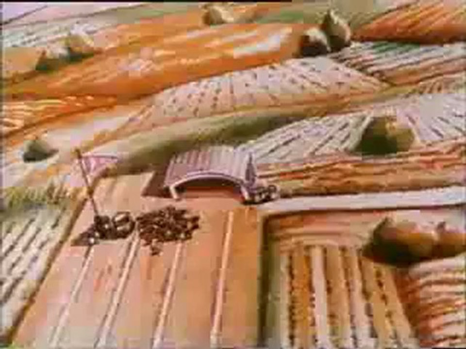 CALİMERO (ıntro) 90lar çizgi film