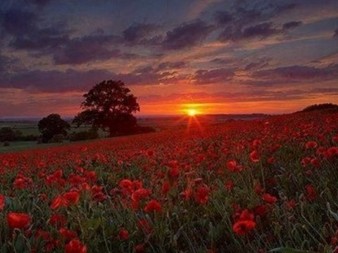 Fille du vent et du soleil..chanté par Fabrice de L'Oise