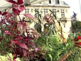 Vincennes : 10ème journée du jardinier samedi 6 octobre 2012 de 10h30 à 18h place de l'hôtel de Ville