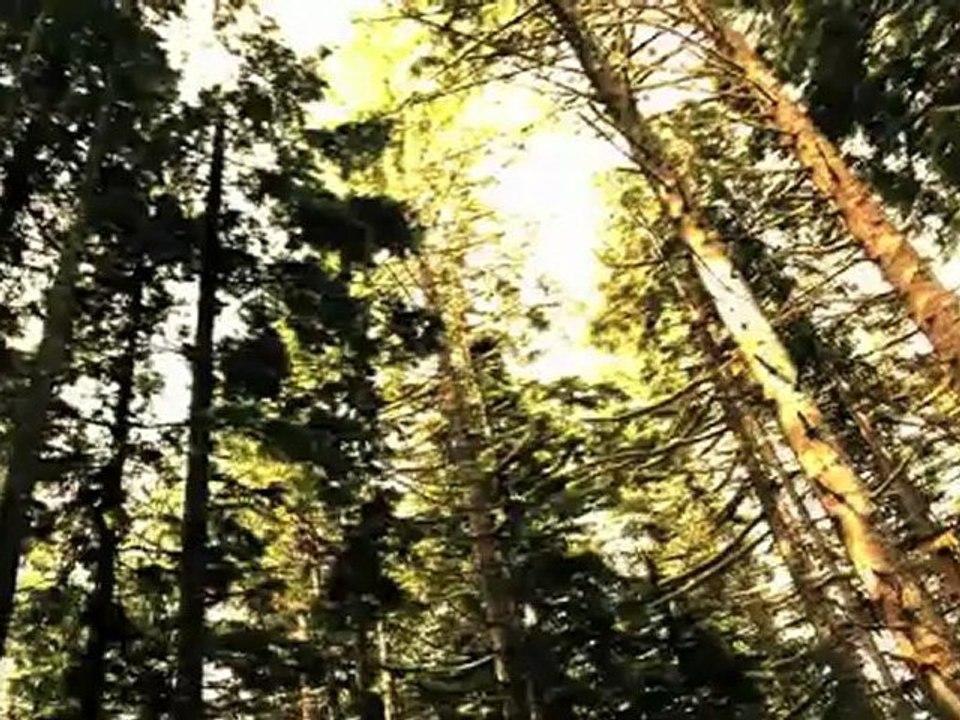 Vampire Music - Official Soundtrack by Matt Barker now on iTunes