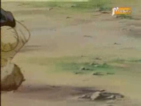 les combats de sangoku 6