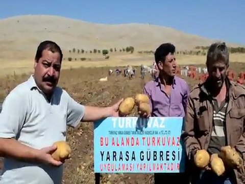 TURKUVAZ YARASA GÜBRESİ PATATESTE REKOR ARTIŞ