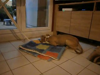 Redden et son os à moelle 06-10-2012