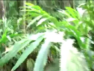 Rocket Wax by Jim Rosenbaum - Magic Trick