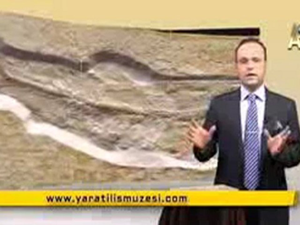 MİLYONLARCA YILDIR DEĞİŞMEYEN KADIN BALIKLARI