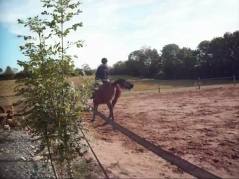 Résumé du galop avec Paola après 10 mois en carrière !