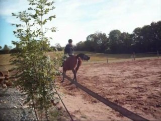 Résumé du galop avec Paola après 10 mois en carrière !