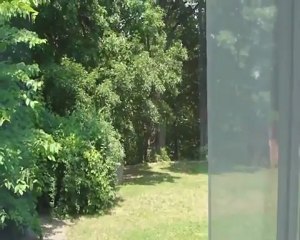 MEMORIES OF BEECH GROVE DRIVE