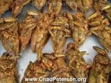 Entomophagy the art of eating insects