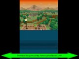 Fix Pokemon White 2 In-Game Freeze Black screen Exp USA DL Link
