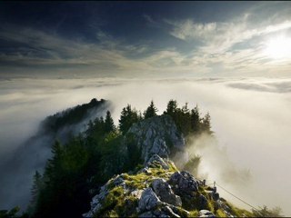 سورة الجن فارس عباد