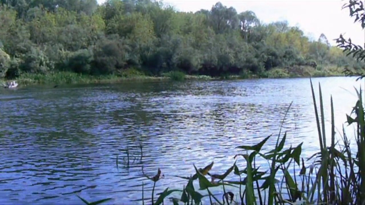 Relax Nature Music studio Artfresco&Decor Мастер классы по Декорированию венецианской штукатурки