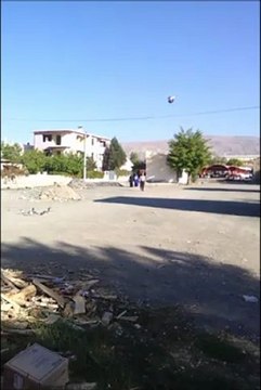 Eke Tek Aynalı Dişi (Bahadır İHTİYAR - Erzincan/Merkez)