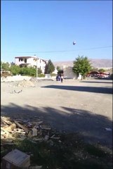 Eke Tek Aynalı Dişi (Bahadır İHTİYAR -  Erzincan/Merkez)