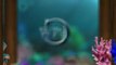 Comb Jellyfish filmed with Eco Marine Waterproof iPhone Case