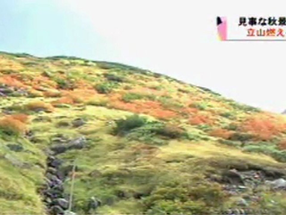 20121005 立山、紅葉真っ盛り