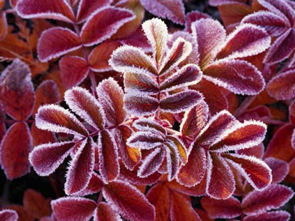 Filmclip  Jesus und die Kinder!