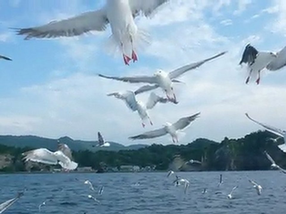 Richard Clayderman　Music Box Dancer (愛のオルゴール)