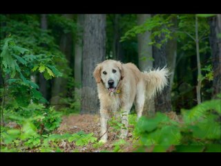 Pavel Sandorf Big Band - Unforgettable