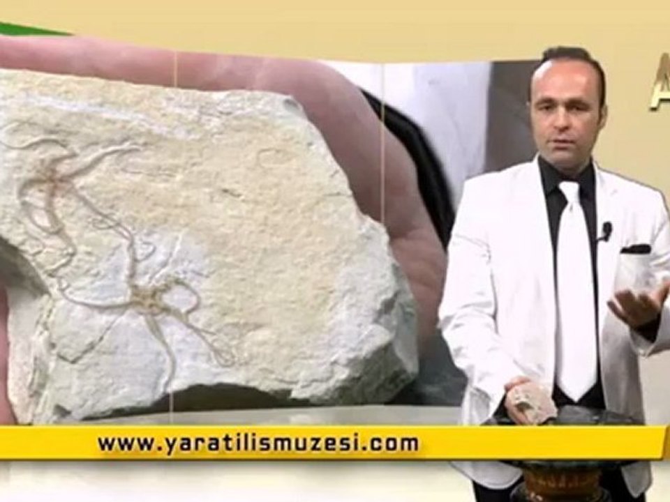 MİLYONLARCA YILDIR DEĞİŞMEYEN YILAN YILDIZLARI