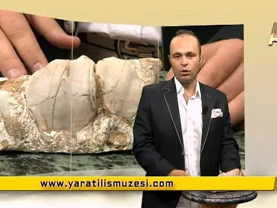 MİLYONLARCA YILDIR DEĞİŞMEYEN FİL DİŞLERİ