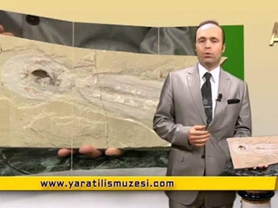 MİLYONLARCA YILDIR DEĞİŞMEYEN AHTAPOTLAR