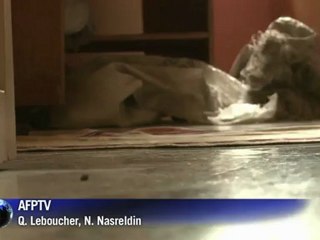 In Aleppo, the Ismail family clan joins the fight