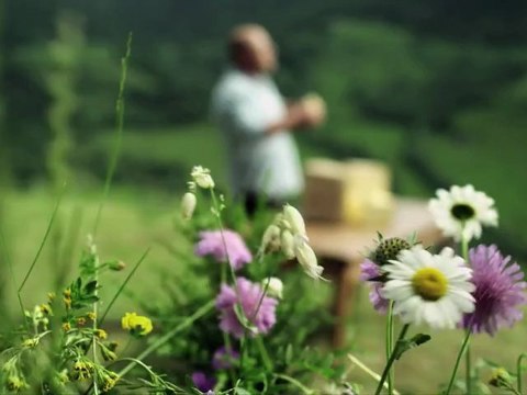 SPOT PUB CANTAL avec Vincent MOSCATO et les vaches !