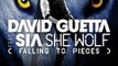 David Guetta feat Sia - She Wolf (Remix Sandro Silva Mix)