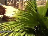 Sonic Unleashed - Shamar : Arid Sands Acte 2 (Jour)