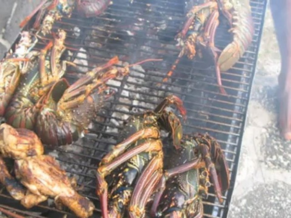 2012 Maurice compresser