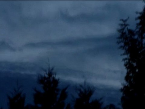 le ballet des chauve souris