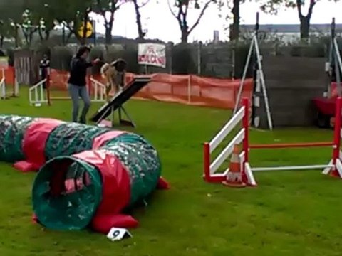 1er_degre_Ecktet 1er concours