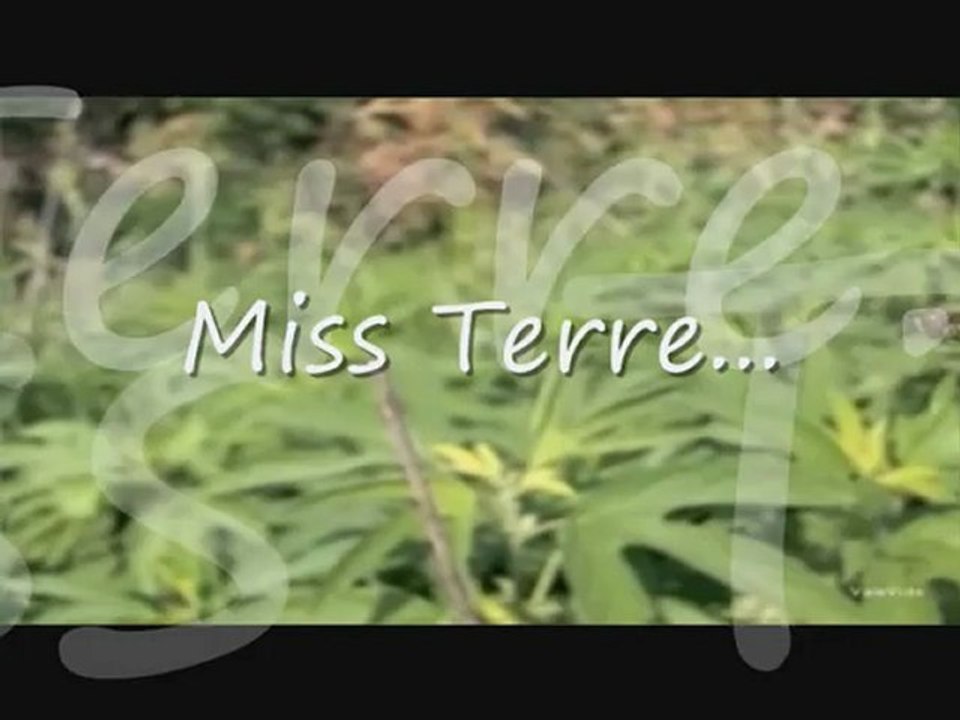 miss terre