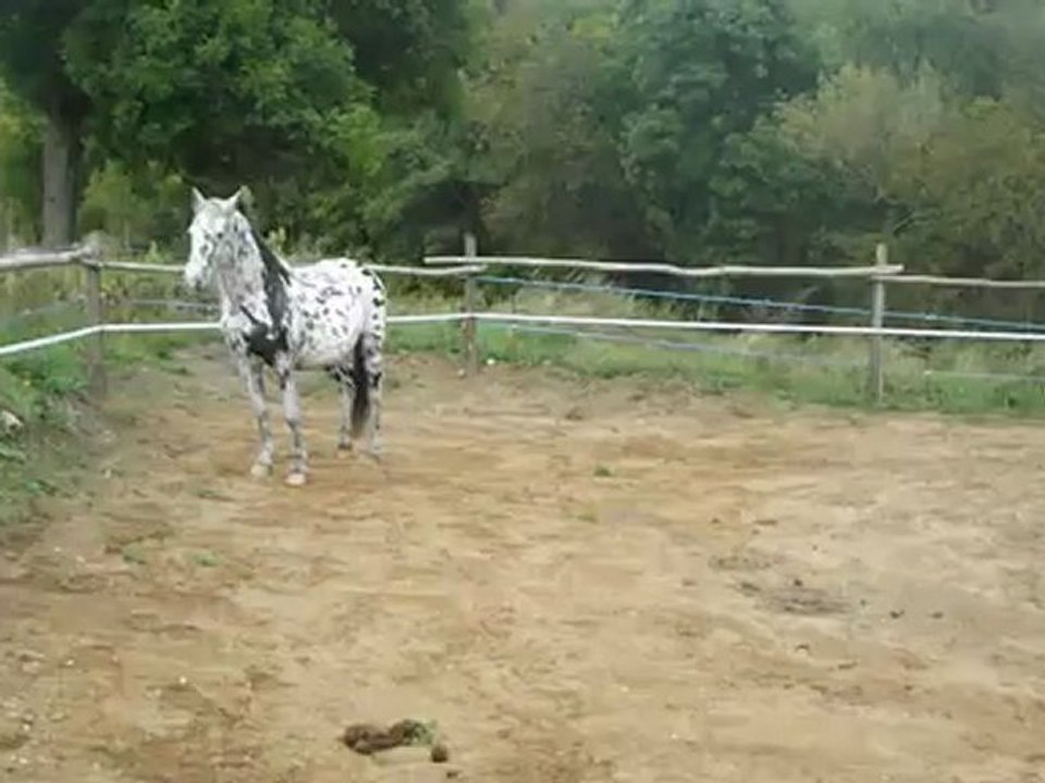 DSCF4026