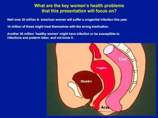 saç bakımı ve güzellik