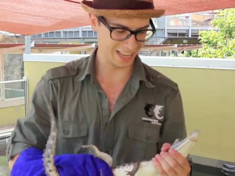 Good Morning Australia / Simon attrape un crocodile
