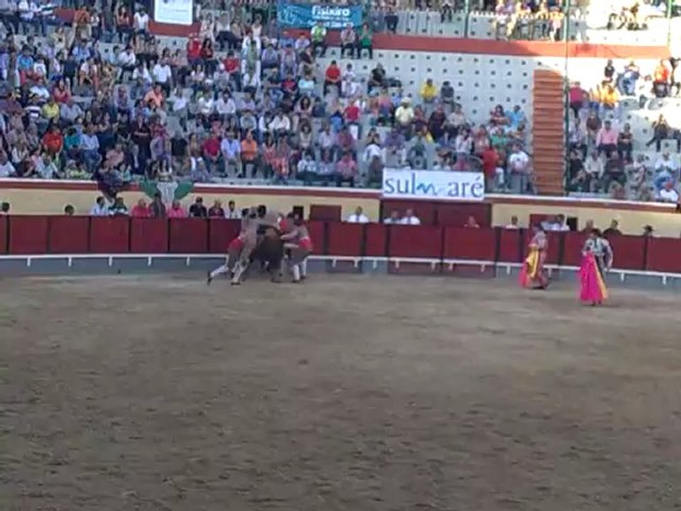 DIOGO CRUZ FORCADOS AMADORES DA CHAMUSCA PEGA TOIRO ASSUNÇÃO COIMBRA EM VILA FRANCA