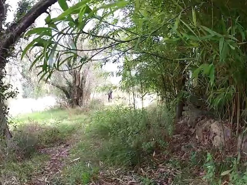 corentin joue et gagne