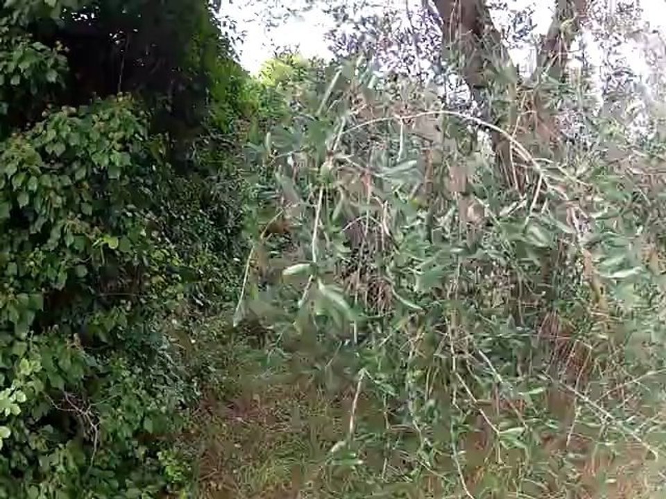 7 octobre 2012, airsoft party