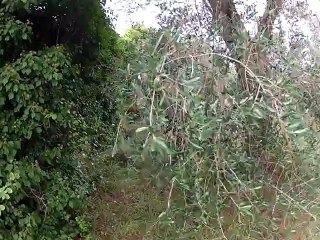 7 octobre 2012, airsoft party