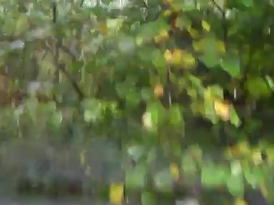 Rando Combrailles 2012 SANY0005